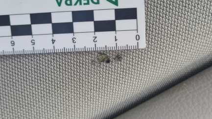 Zdjęcie przedmiotu: Bmw 320D Touring