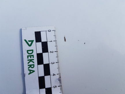 Zdjęcie przedmiotu: Opel Movano BiTurbo CDTI Euro 5 2299ccm - 163HP 3,5t