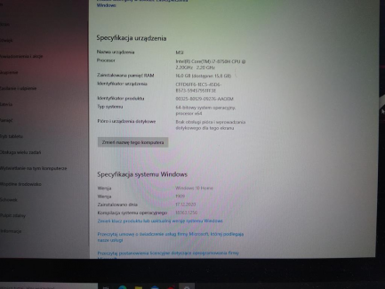 Zdjęcie przedmiotu: MSI GS73 / 8RF-043PL laptop