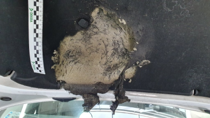 Zdjęcie przedmiotu: Skoda Fabia III Combi 1.0 Ambition + LPG