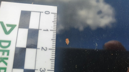 Zdjęcie przedmiotu: Mercedes-benz V 250 d 4-Matic Avantgarde 7G-Tronic