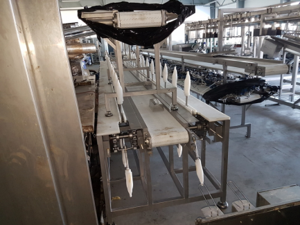 Zdjęcie przedmiotu: Line for poultry cutting and packing