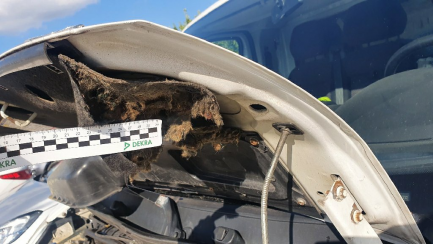 Zdjęcie przedmiotu: Peugeot BOXER 435 BlueHDi Euro 6 2999ccm - 180KM 3,5t 