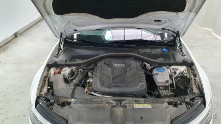 Zdjęcie przedmiotu: 