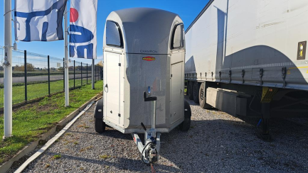 Zdjęcie przedmiotu: Przyczepa Do przewozu koni Boeckmann CHAMPION 2.4t