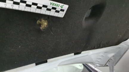 Zdjęcie przedmiotu: Ford Focus sedan 1.6 Trend