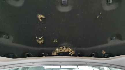 Zdjęcie przedmiotu: ALFA ROMEO Stelvio 2.0 Turbo First Edition Q4 aut