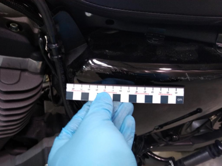 Zdjęcie przedmiotu: Harley Davidson Sportster Roadster