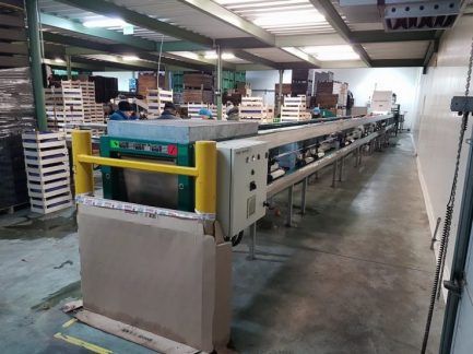 Zdjęcie przedmiotu: Technological line for packaging and packaging of juice (sorter, grinding team and juice extraction with a decander)