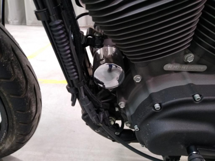 Zdjęcie przedmiotu: Harley Davidson Sportster Roadster