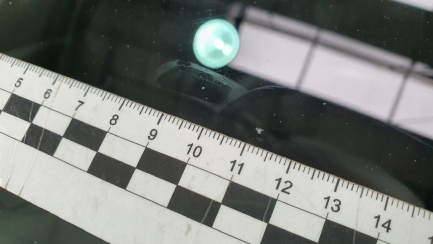 Zdjęcie przedmiotu: 