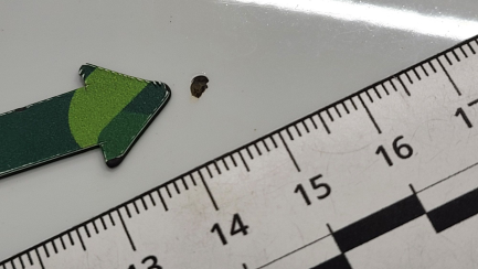 Zdjęcie przedmiotu: Volkswagen T-ROC 2.0 TDI SCR DPF Premium DSG