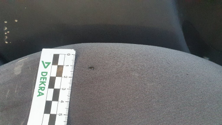 Zdjęcie przedmiotu: Wiosenne obniżki| Prowizja 1% Toyota Prius 1.8 HSD Active