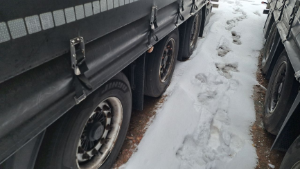 Zdjęcie przedmiotu: KASSBOHRER Mega XS 39.0t