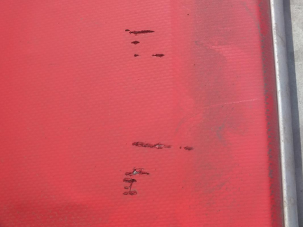 Zdjęcie przedmiotu: MEGA FLIEGL SDS 350 curtain semi-trailer