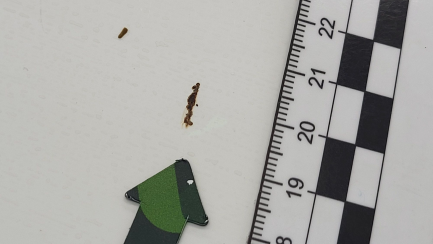 Zdjęcie przedmiotu: Renault Arkana 1.3 TCe mHEV Zen EDC