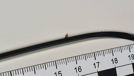 Zdjęcie przedmiotu: Infiniti Q70 SUV