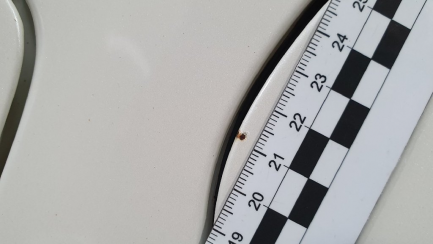 Zdjęcie przedmiotu: Honda Accord 2.4 Type S