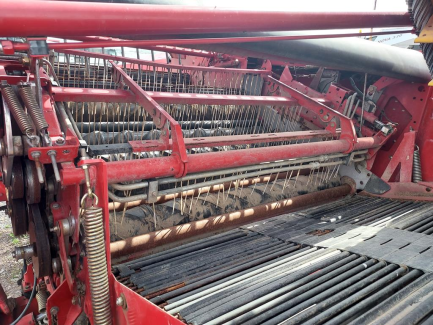 Zdjęcie przedmiotu: Potato harvester GRIMME GT 170S-MS