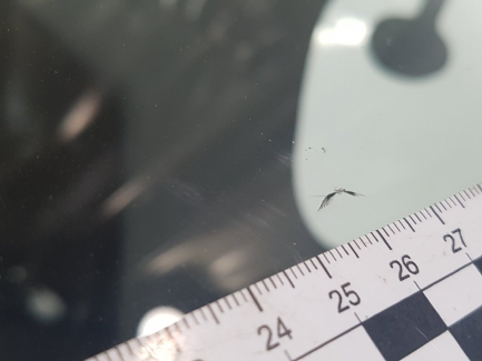 Zdjęcie przedmiotu: Kia Cee'd 1.6 CRDi M