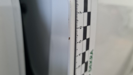 Zdjęcie przedmiotu: Seat Ibiza ST 1.2 TSI Reference