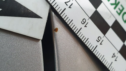 Zdjęcie przedmiotu: Suzuki Swift Hatchback