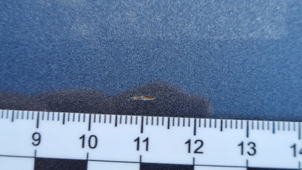 Zdjęcie przedmiotu: Toyota Avensis Kombi 2.0 D-4D Premium