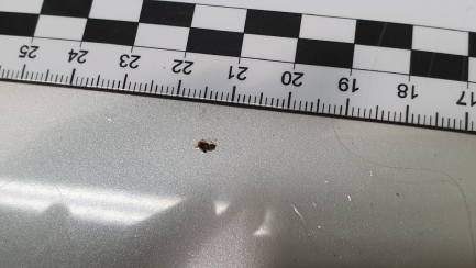 Zdjęcie przedmiotu: Honda Accord 2.4 Type S