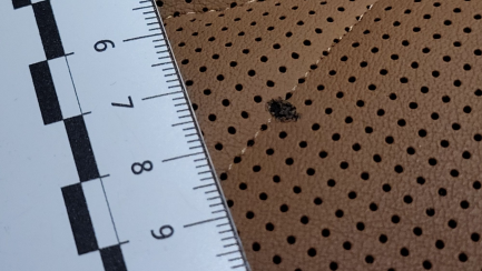 Zdjęcie przedmiotu: BMW X6 xDrive30d mHEV sport-aut