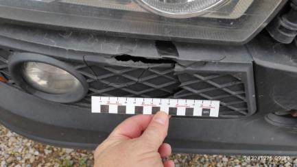 Zdjęcie przedmiotu: IVECO/IPL 160E Refrigerator