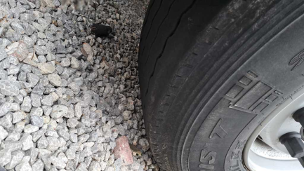 Zdjęcie przedmiotu: SCHMITZ SKO 24 35.0t Refrigerator