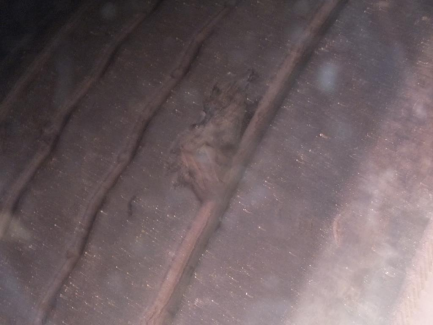 Zdjęcie przedmiotu: KAESSBOHRER MAXIMA XS Curtain trailer