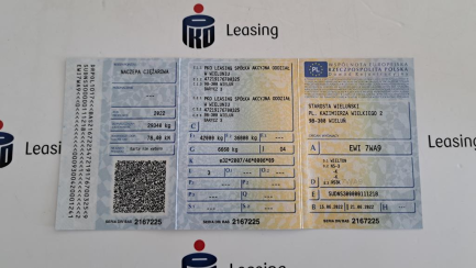 Zdjęcie przedmiotu: WIELTON NS3K Mega Dropside