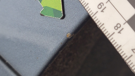 Zdjęcie przedmiotu: Ford Focus 1.5 EcoBlue Connected