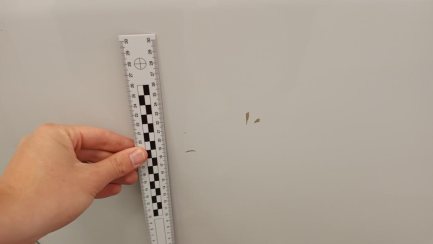 Zdjęcie przedmiotu: Fiat Ducato MAXI HD 2.2 H3-POWER E6.4 3.5t L4H3