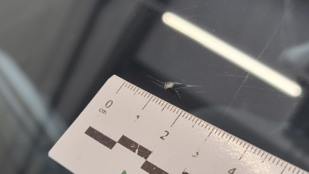 Zdjęcie przedmiotu: BMW 118i M Sport aut