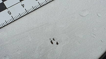 Zdjęcie przedmiotu: Ford Mondeo 2.0 TDCi Silver X (Amb.)