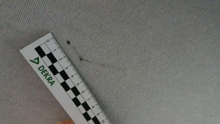 Zdjęcie przedmiotu: FIAT, Tipo Sedan 15-, Tipo 1.4 16v EU6d, 