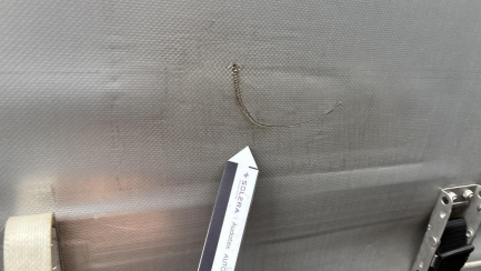 Zdjęcie przedmiotu: KRONE SDP 27 43.0t Dropside