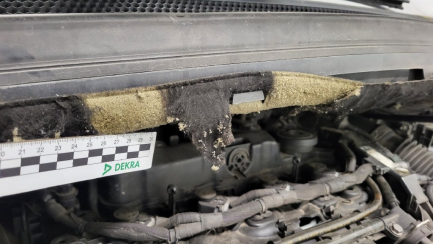 Zdjęcie przedmiotu: Citroen C4 Brak weryfikacji stanu licznika