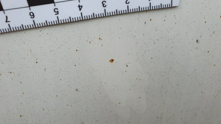 Zdjęcie przedmiotu: PEUGEOT/APD LUBOS BOXER/AL 435 BlueHDi Euro 6 1997ccm - 163HP 3,5t 16-19