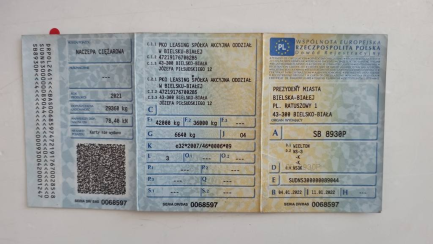 Zdjęcie przedmiotu: WIELTON NS3K Dropside