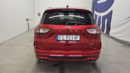 Zdjęcie przedmiotu: Ford Kuga 2.5 FHEV FWD ST-Line X Incorrect entry of engine power in the registration certificate
