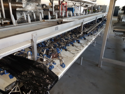 Zdjęcie przedmiotu: Line for poultry cutting and packing