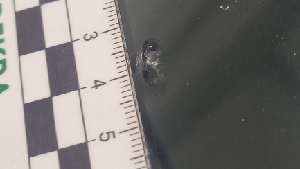 Zdjęcie przedmiotu: Kia PROCEED 1.4 T-GDI GT Line