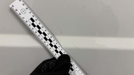 Zdjęcie przedmiotu: Opel Movano Heavy 2.2 Diesel L2H2 E6.4 3.5t 