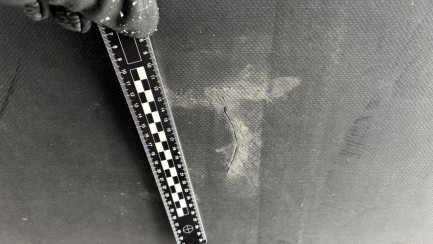 Zdjęcie przedmiotu: KAESSBOHRER MEGA Dropside