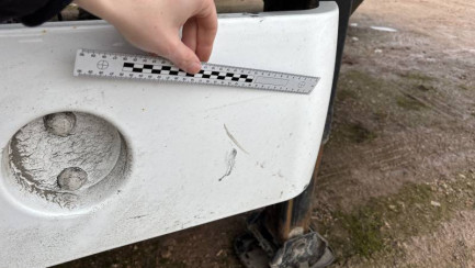 Zdjęcie przedmiotu: WIELTON NS3K Dropside