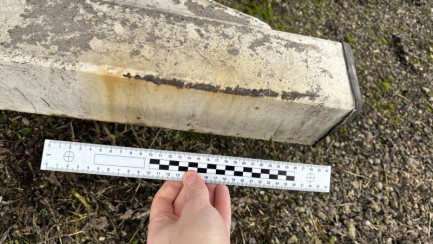 Zdjęcie przedmiotu: WIELTON NS3K Dropside