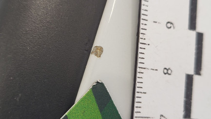 Zdjęcie przedmiotu: Audi A6 Avant 40 TDI mHEV Quattro Sport S tronic Oświadczenie o utracie DR